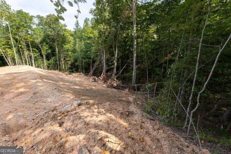 3280 Old Burnt Mountain Road Jasper GA 30143