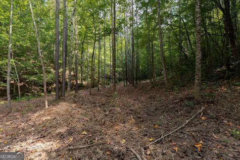 3280 Old Burnt Mountain Road Jasper GA 30143