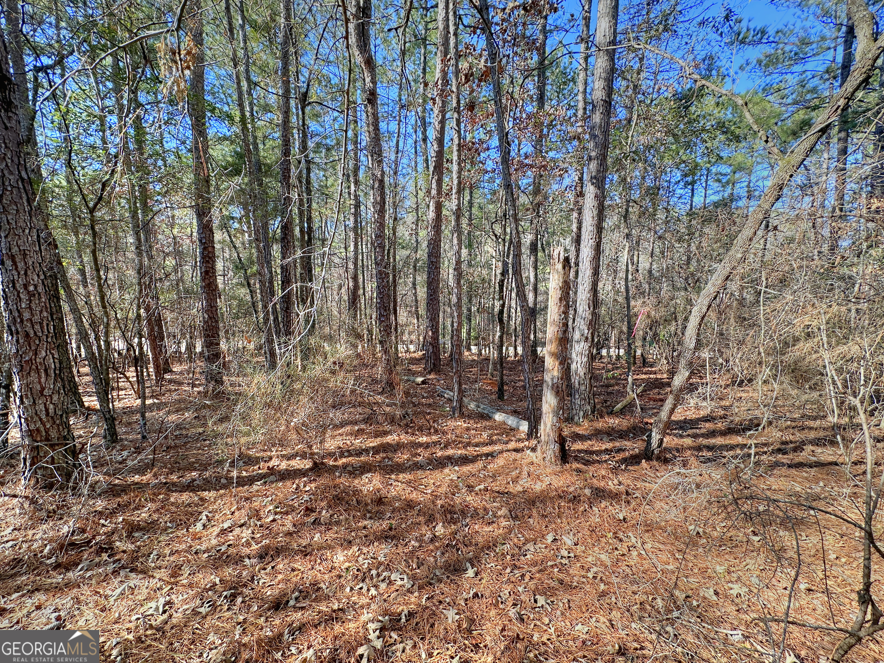 0 Salem Lot 1 Road Pine Mountain GA 31822