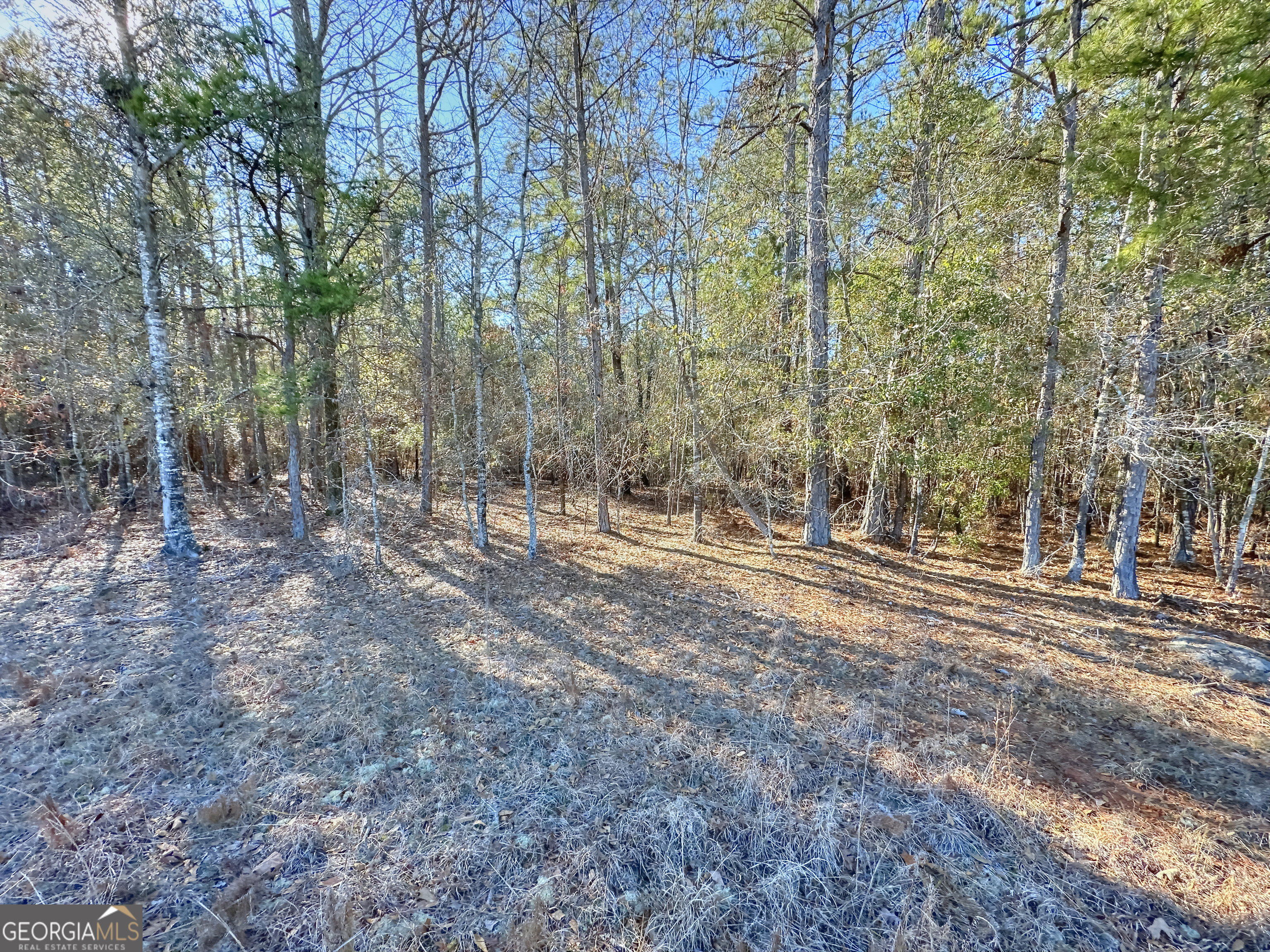 0 Salem Lot 1 Road Pine Mountain GA 31822