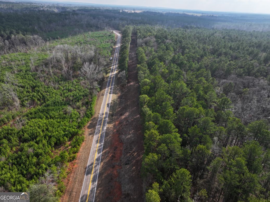 0 Salem Lot 1 Road Pine Mountain GA 31822