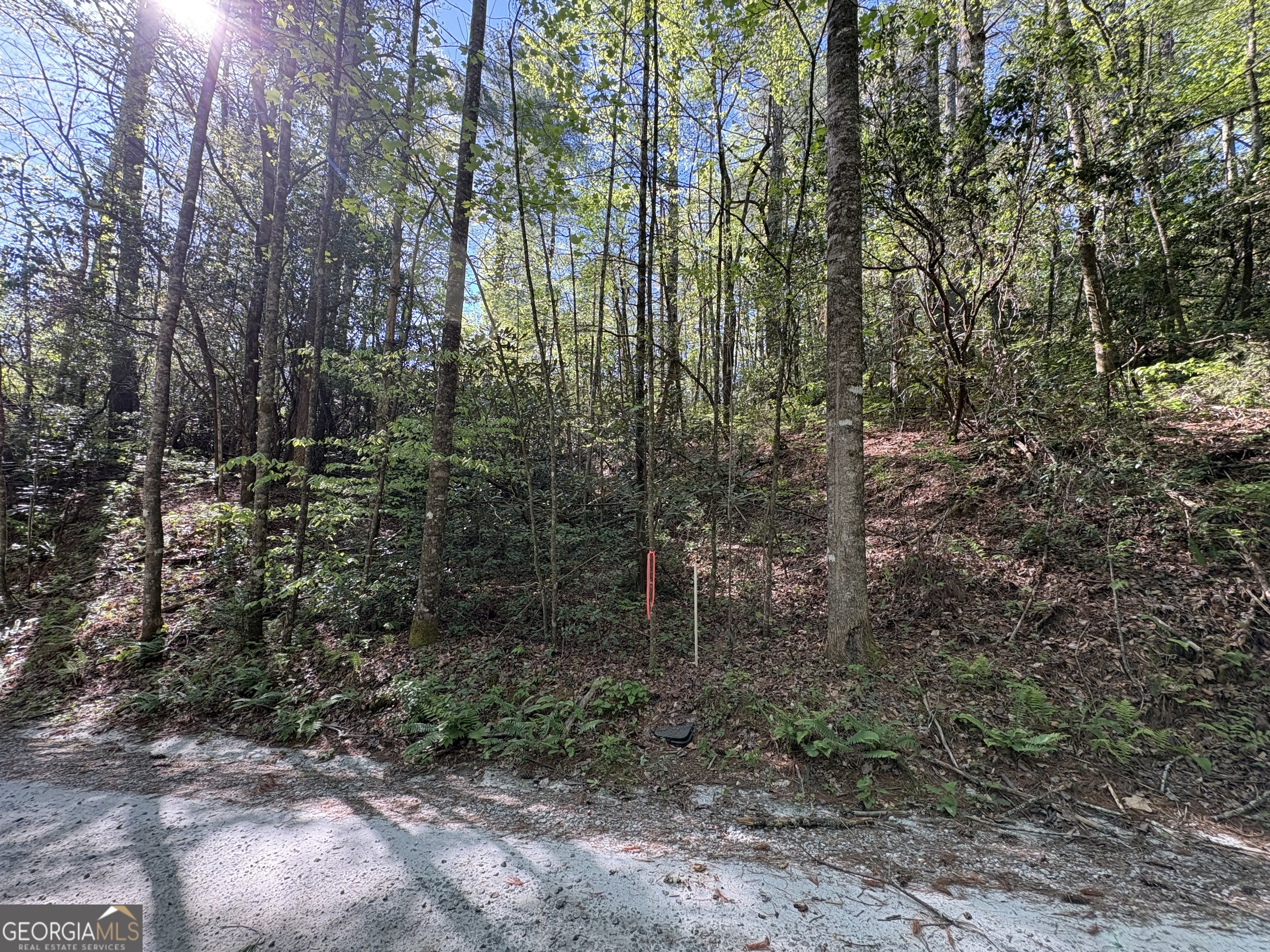 0 Western Way Rabun Gap GA 30568