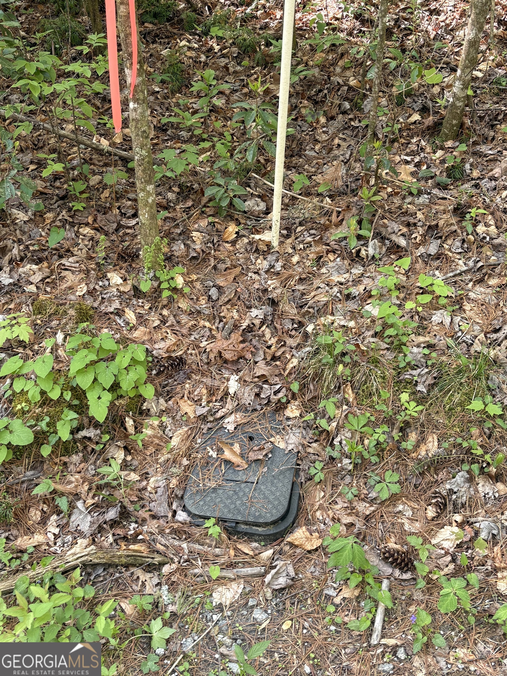 0 Western Way Rabun Gap GA 30568