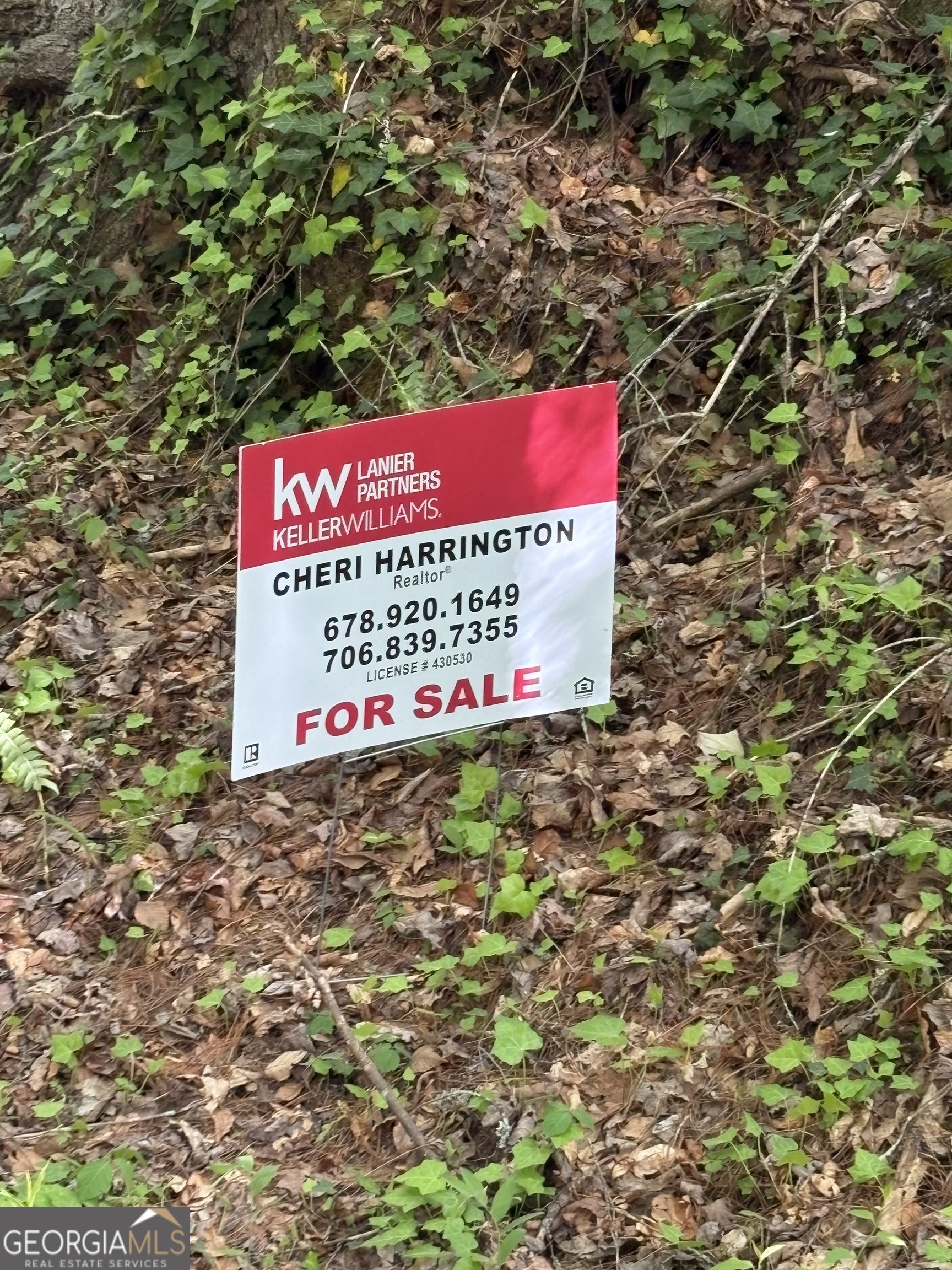 0 Western Way Rabun Gap GA 30568