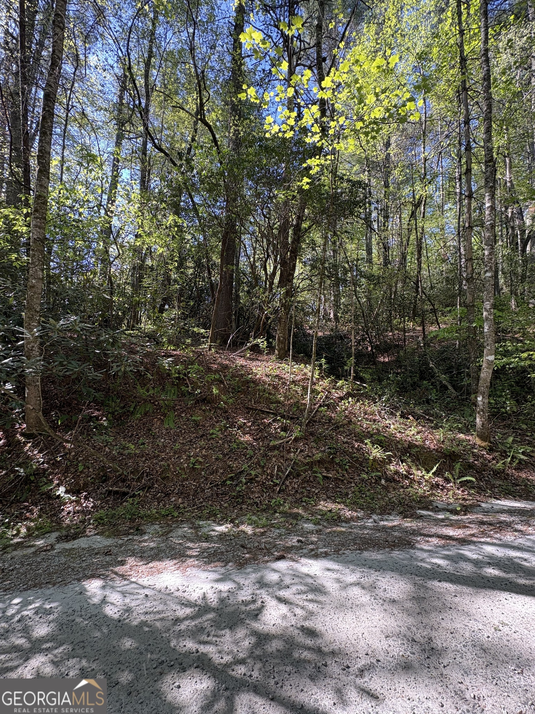 0 Western Way Rabun Gap GA 30568