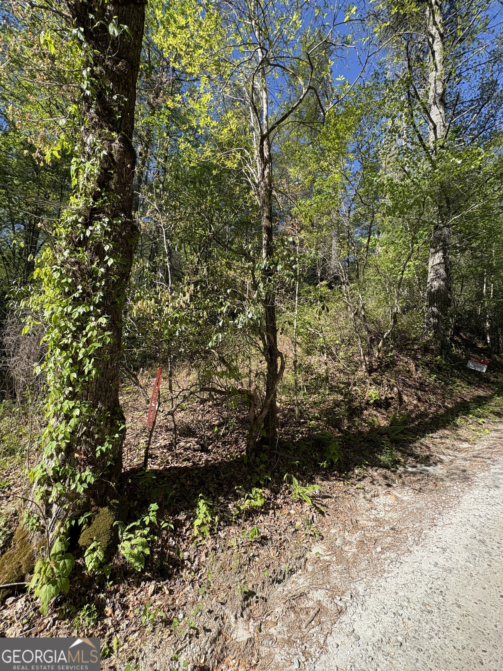 0 Western Way Rabun Gap GA 30568