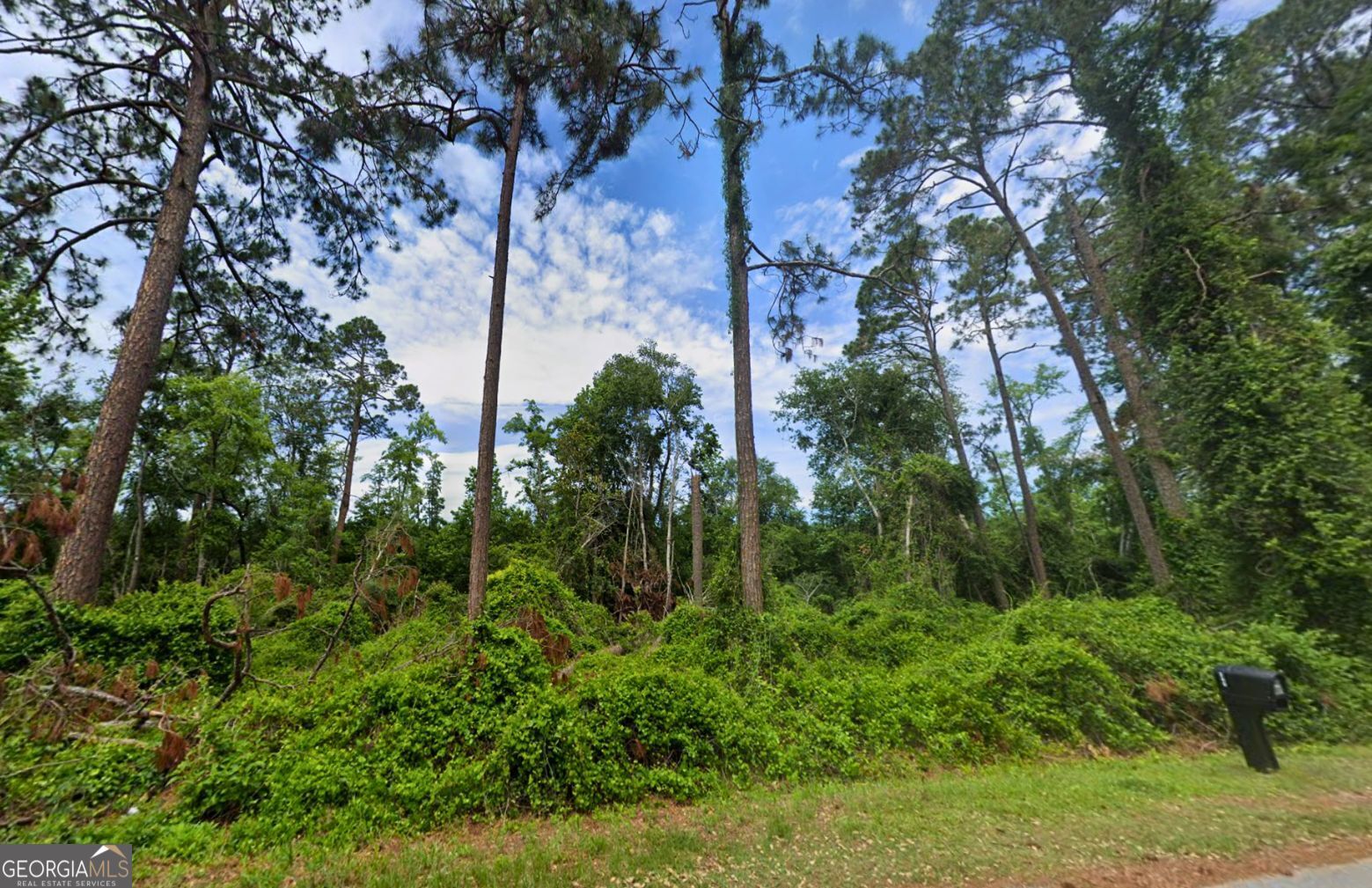 TBD1 Harmon Road Swainsboro GA 30401