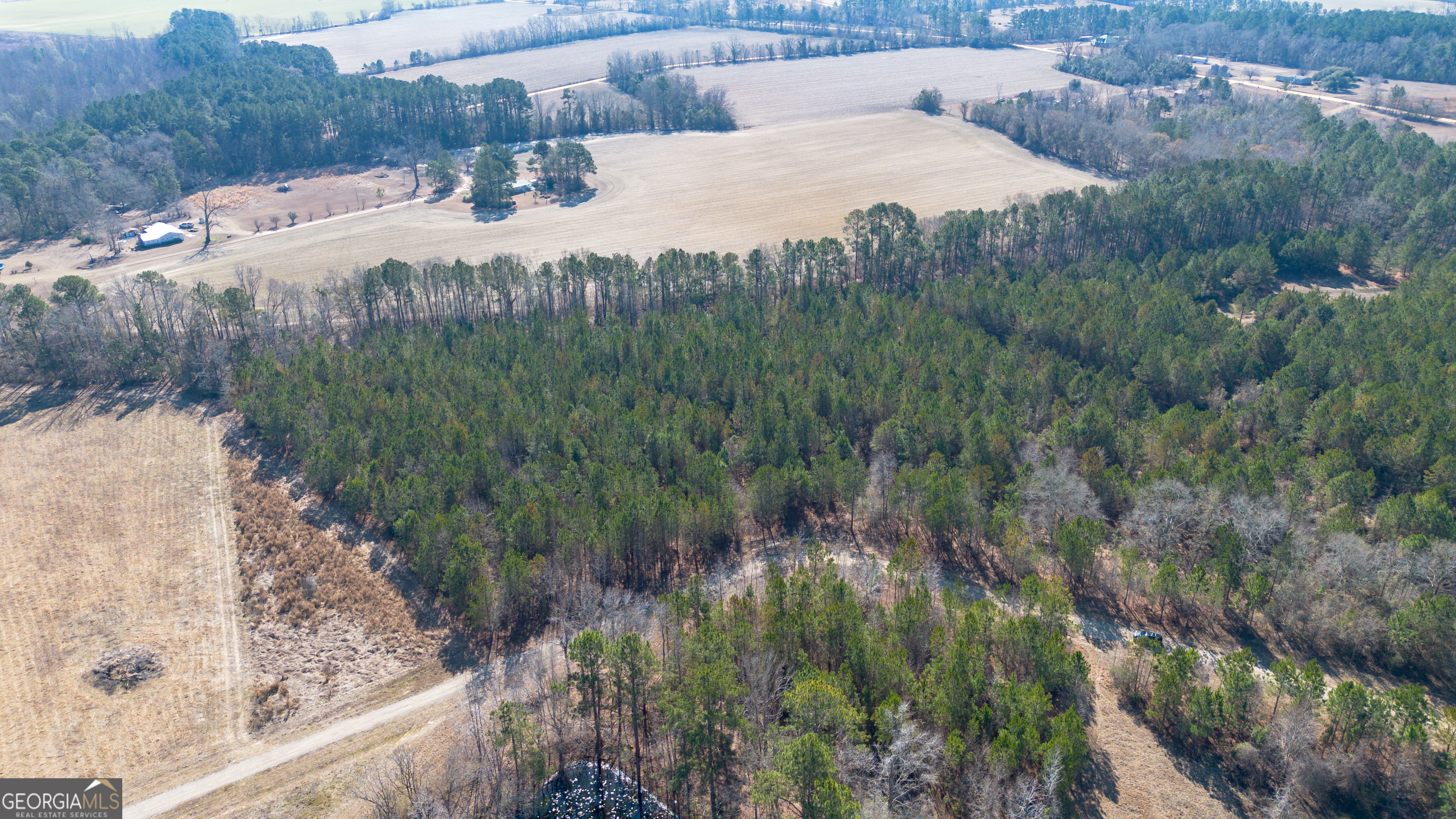 0 Clifton Road- Lot 1 Statesboro GA 30458