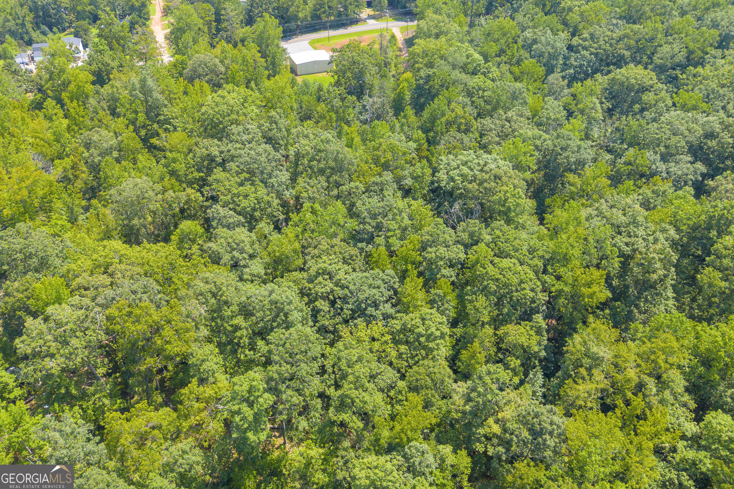 311 Caprice Drive Martin GA 30557