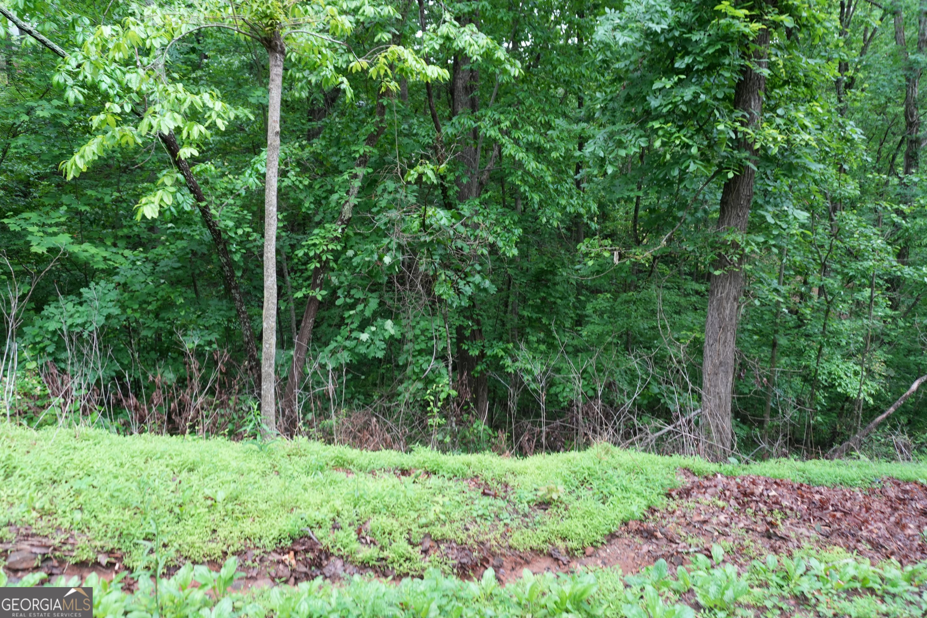 0 Quail Mountain Trail Gainesville GA 30506
