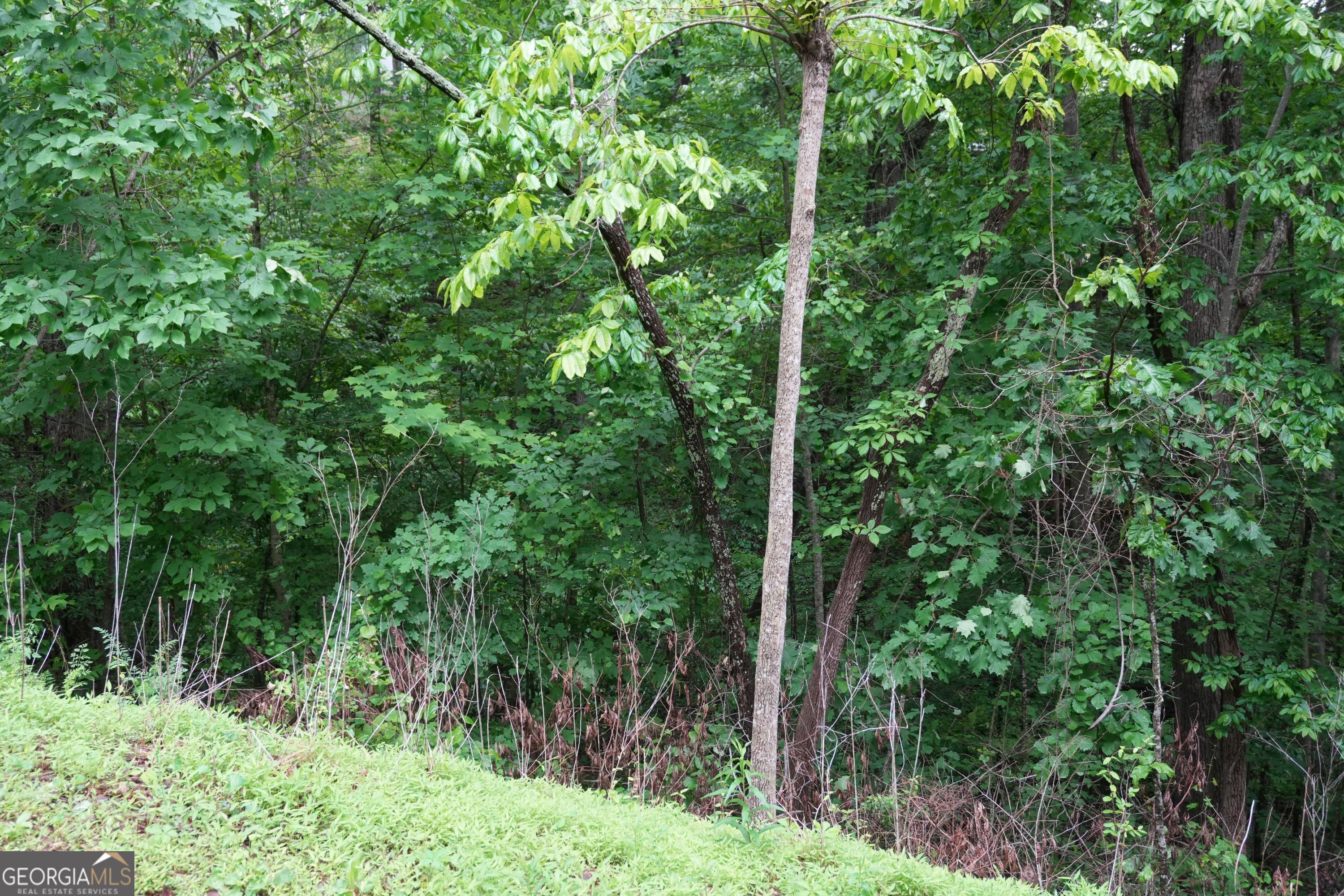 0 Quail Mountain Trail Gainesville GA 30506