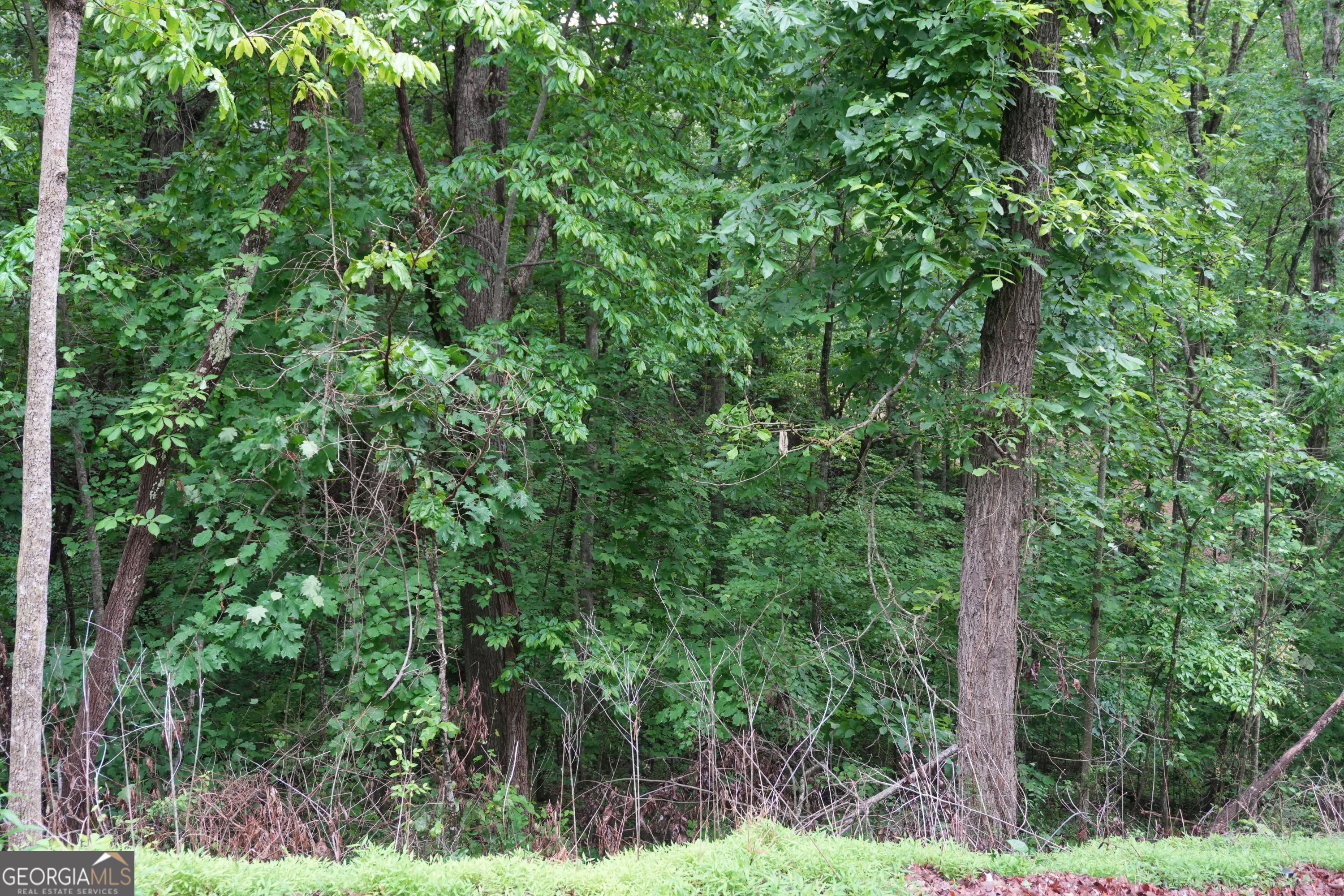 0 Quail Mountain Trail Gainesville GA 30506