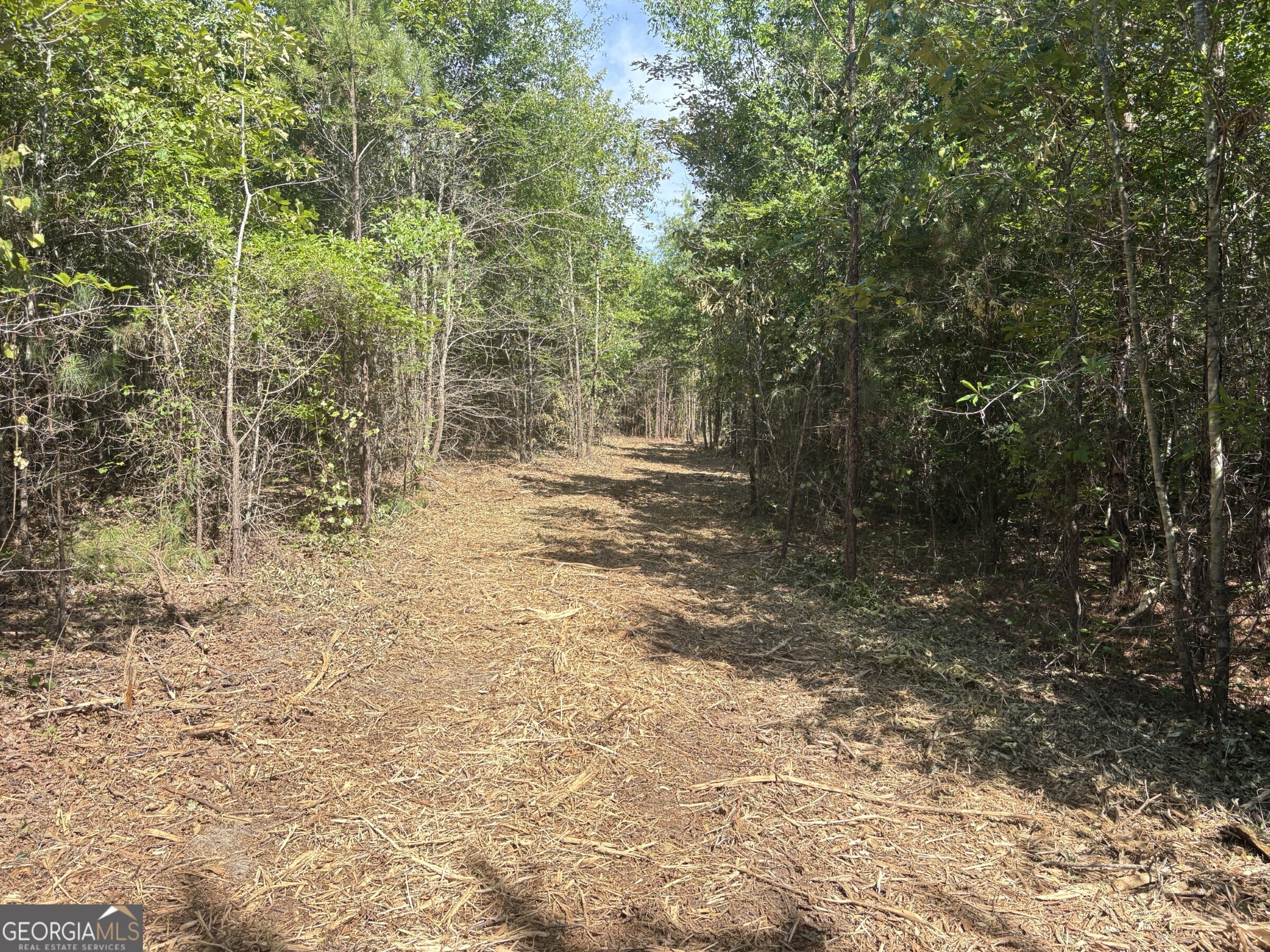 L1 County Line Road Sandersville GA 31082