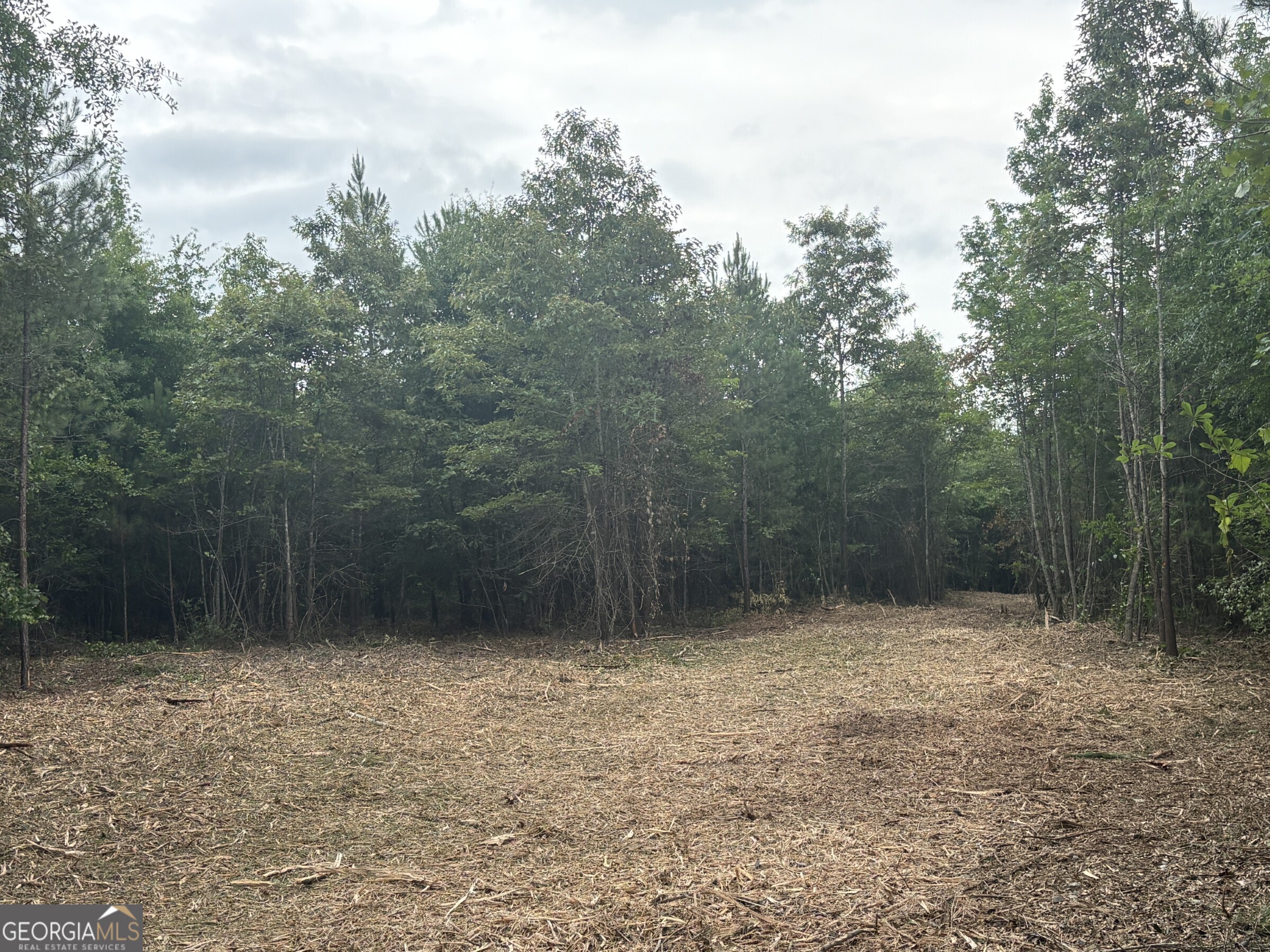 L1 County Line Road Sandersville GA 31082