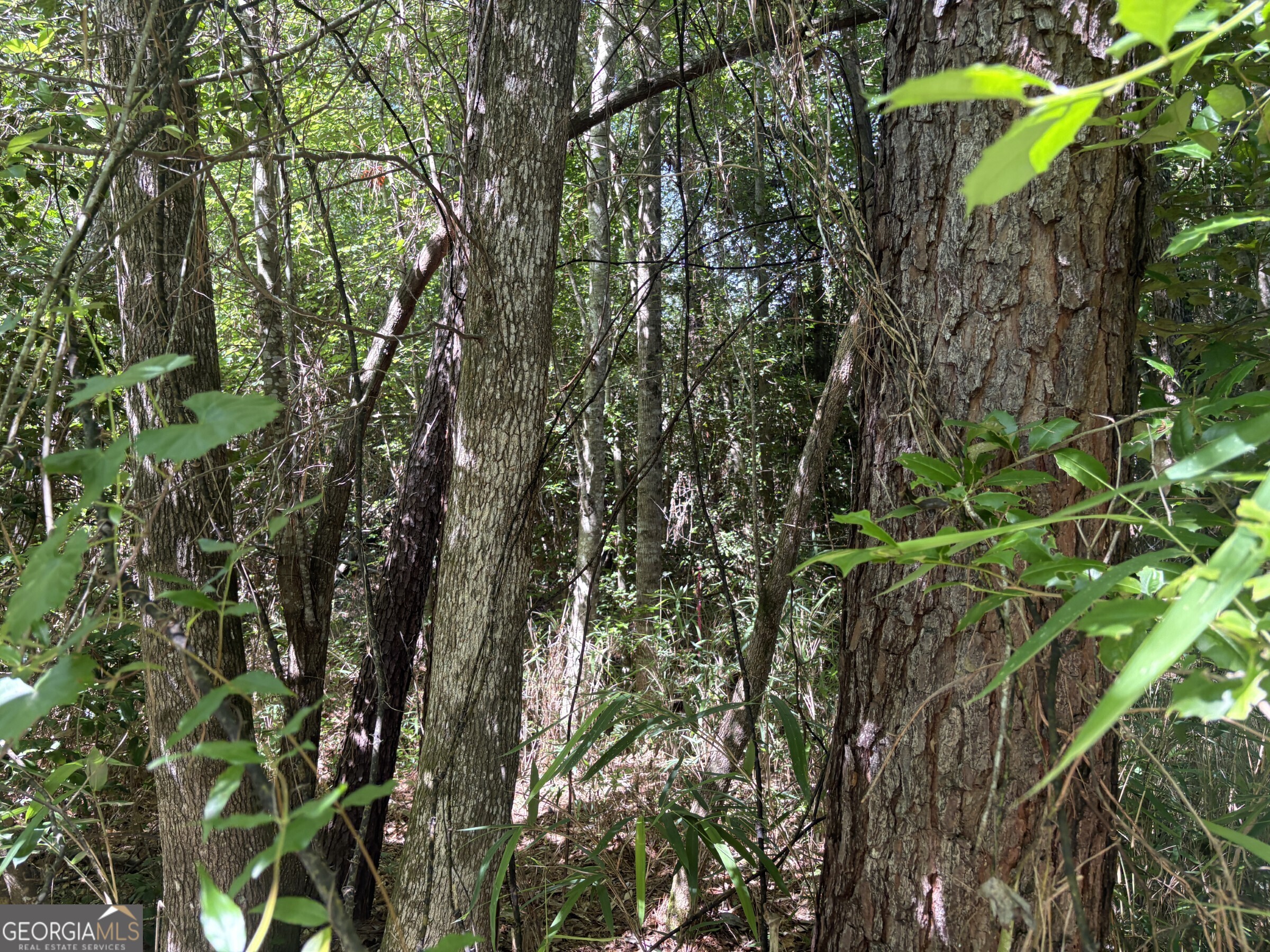 L1 County Line Road Sandersville GA 31082