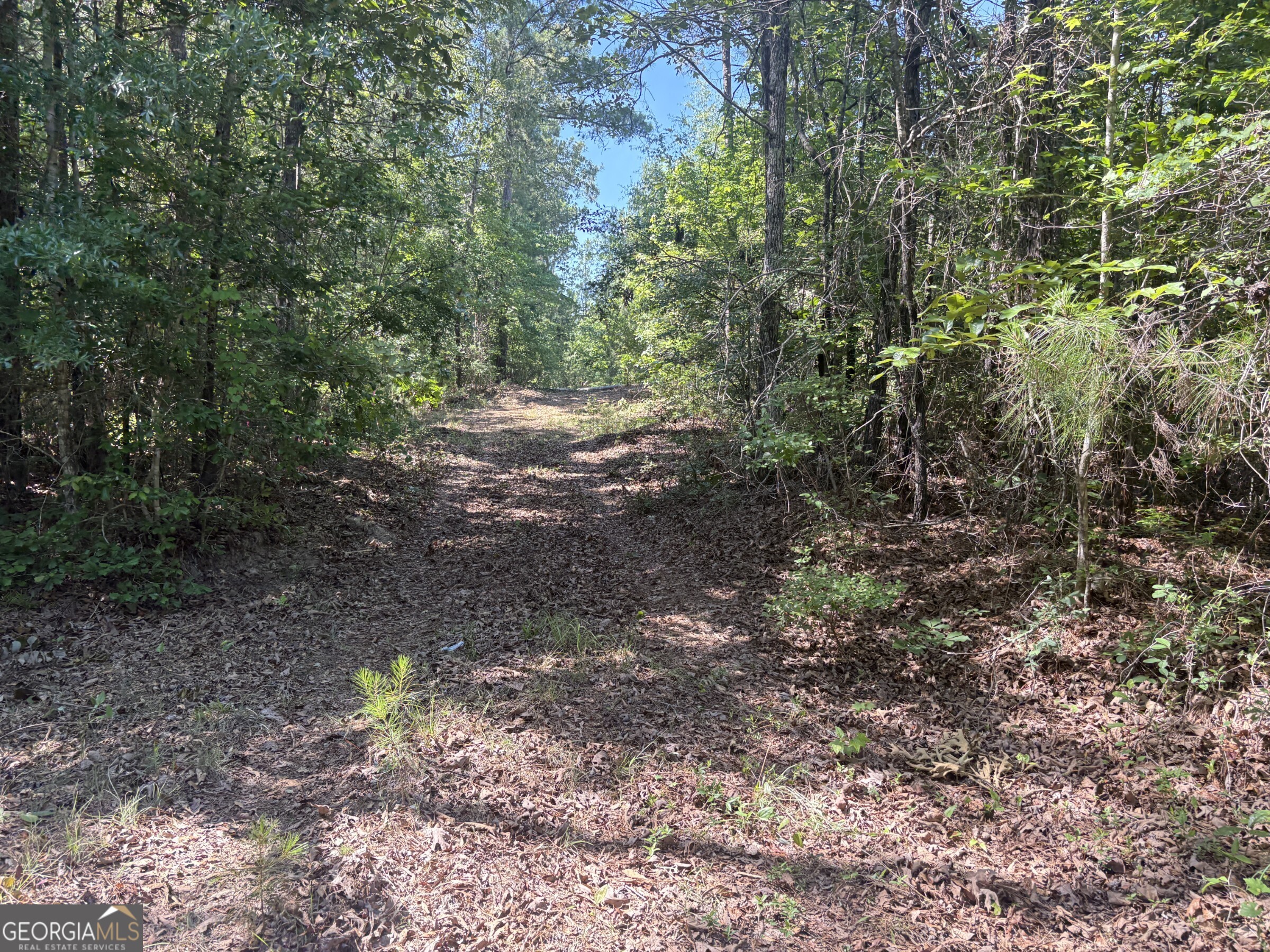 L1 County Line Road Sandersville GA 31082