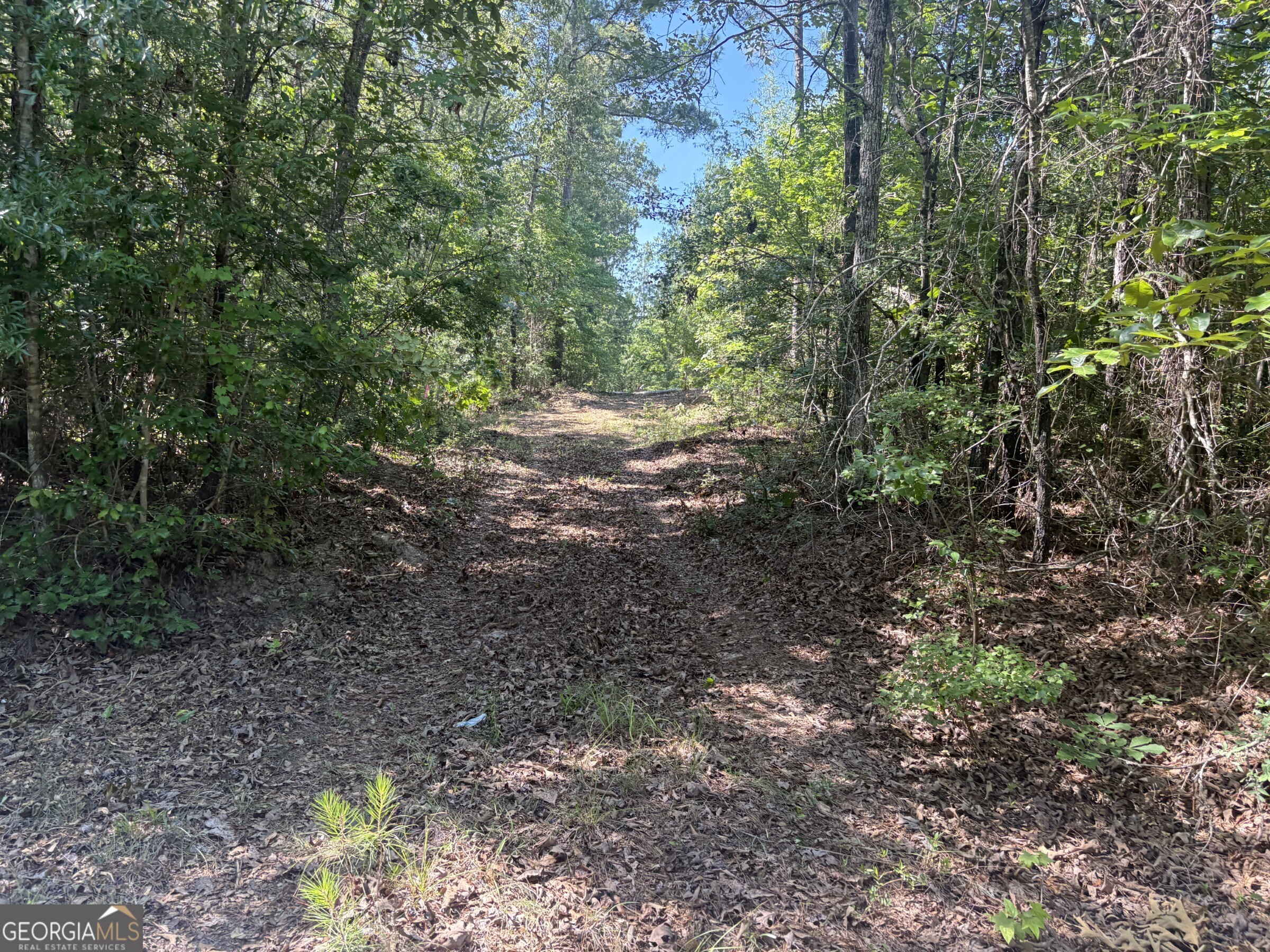L1 County Line Road Sandersville GA 31082