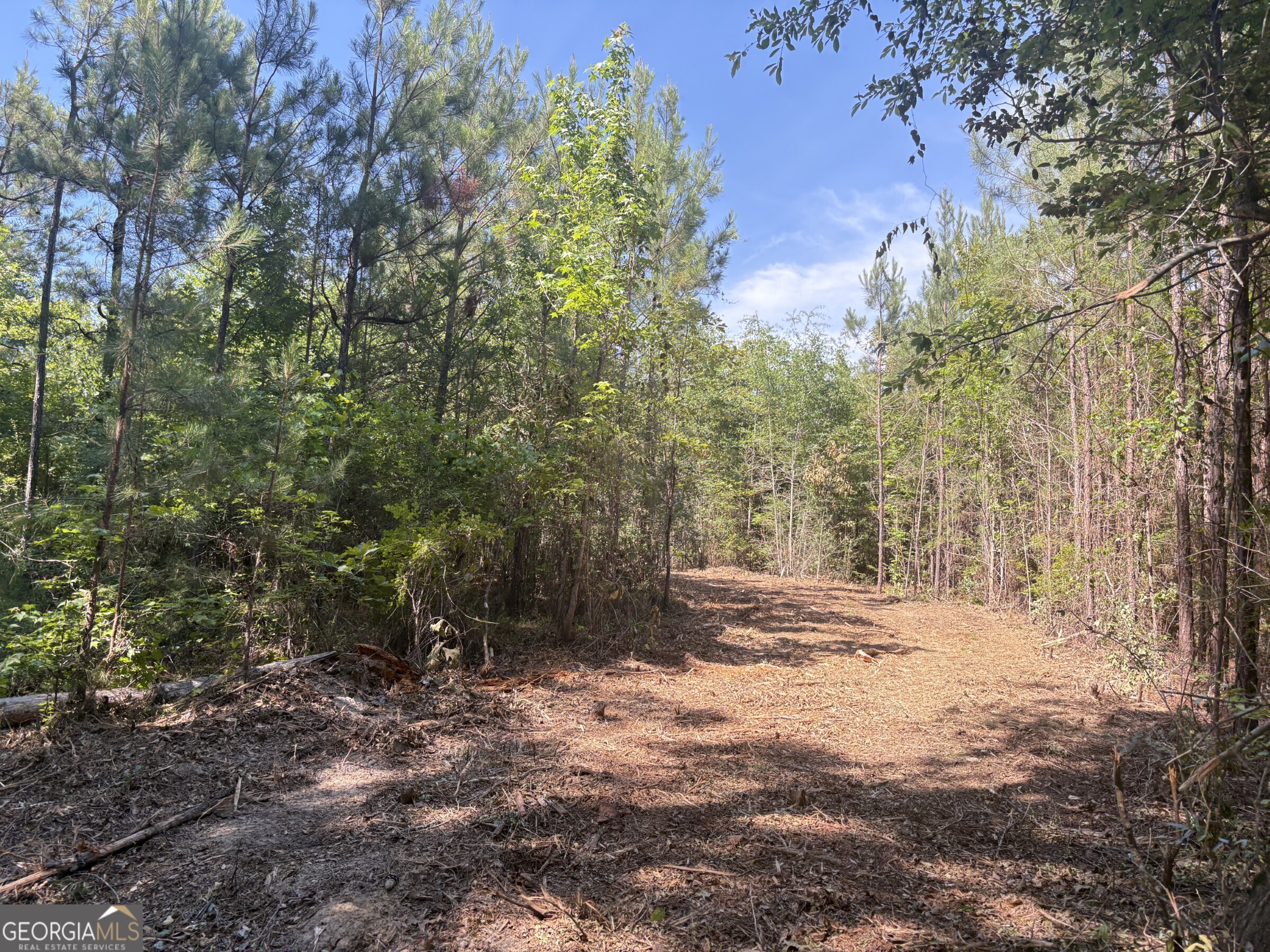 L1 County Line Road Sandersville GA 31082