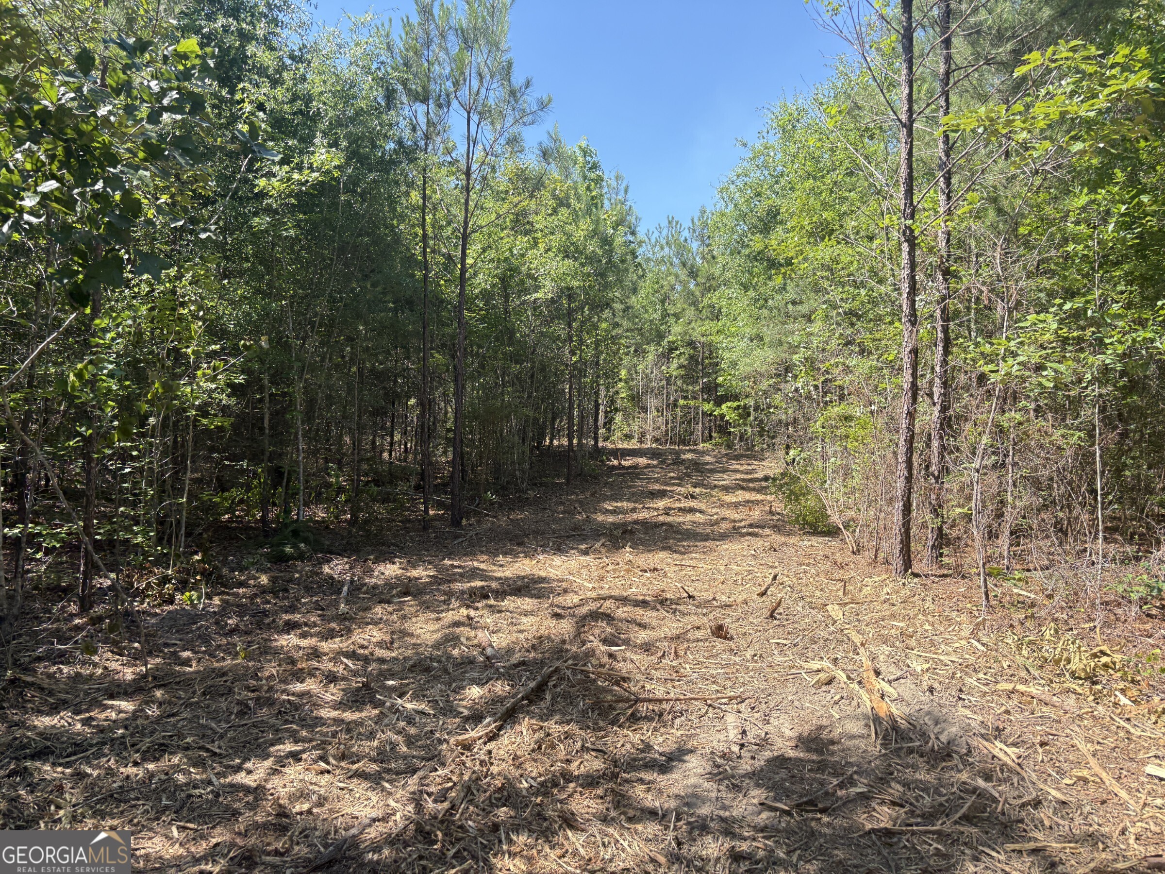 L1 County Line Road Sandersville GA 31082