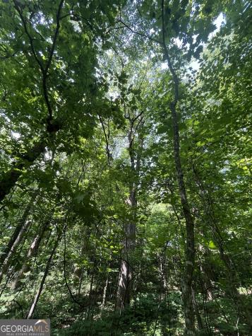 0 Monument Road Jasper GA 30143