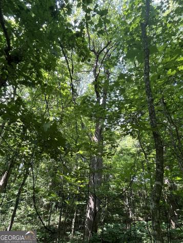 0 Monument Road Jasper GA 30143