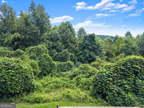 0 Meadow Crest Drive Cleveland GA 30528