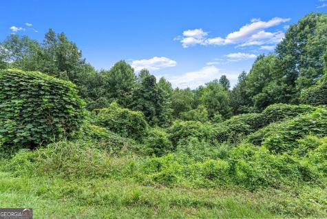 0 Meadow Crest Drive Cleveland GA 30528