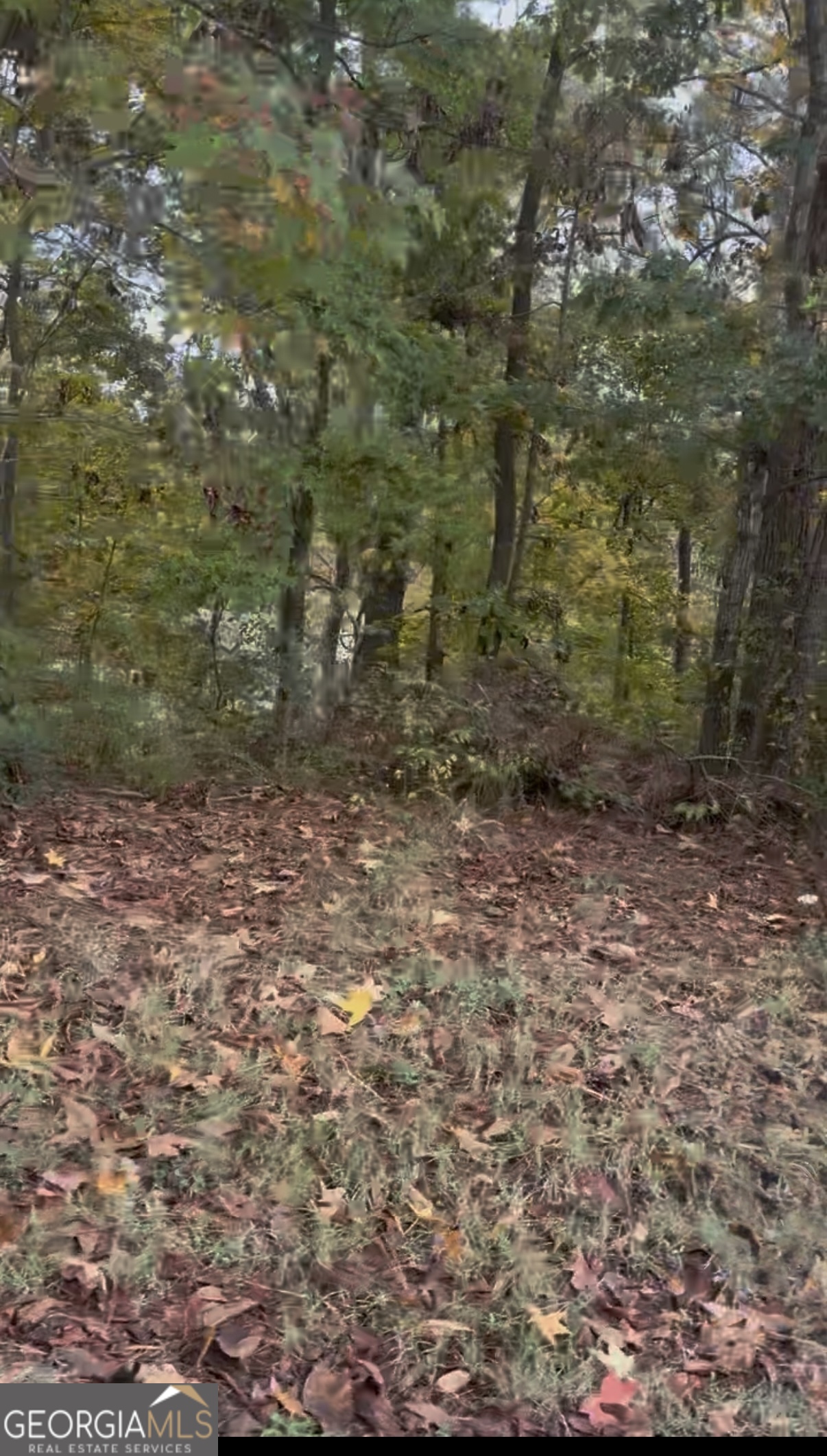 0 Blacks Bluff Road Cave Spring GA 30124