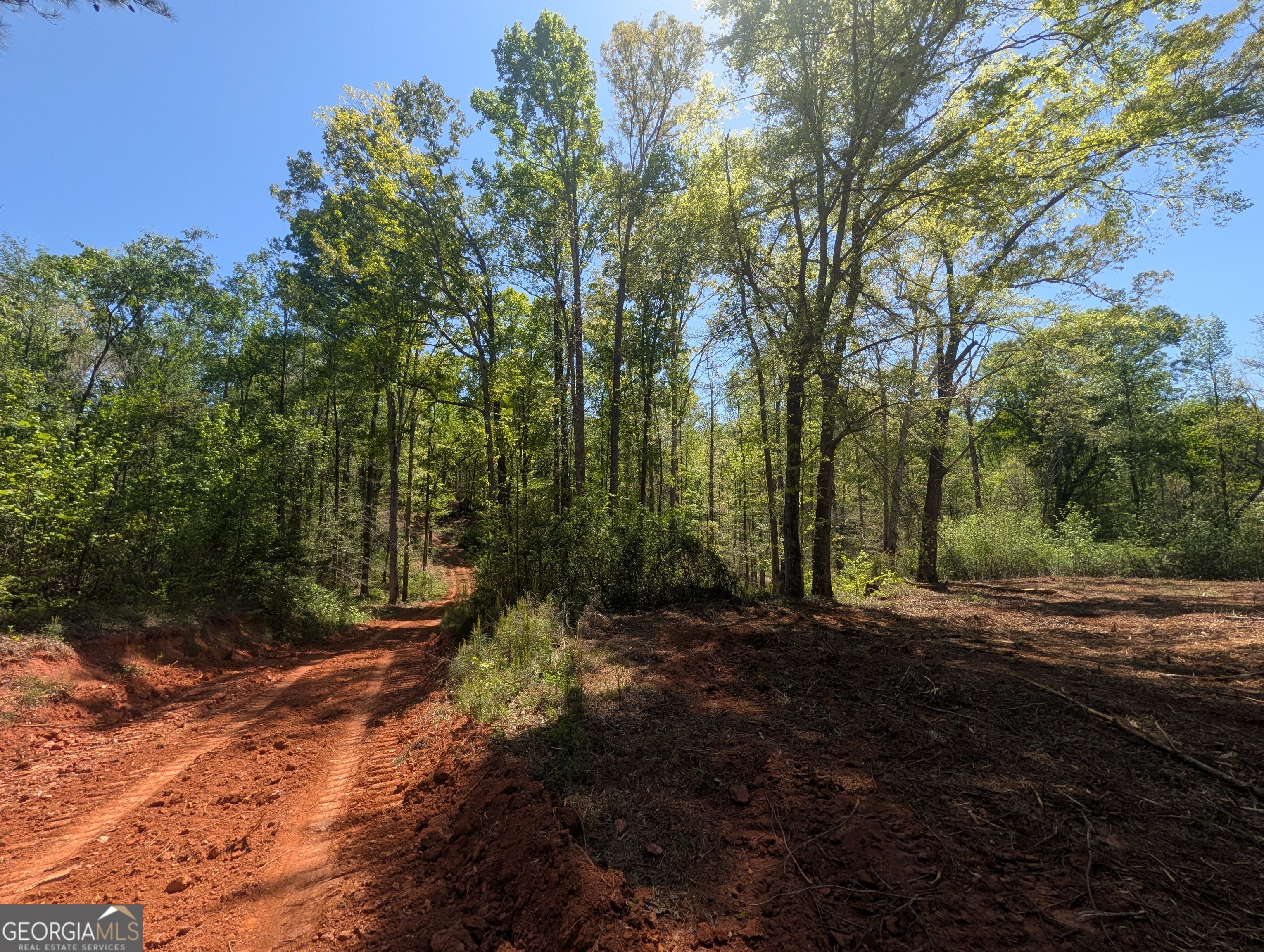 34 Magnum Lane Pendergrass GA 30567