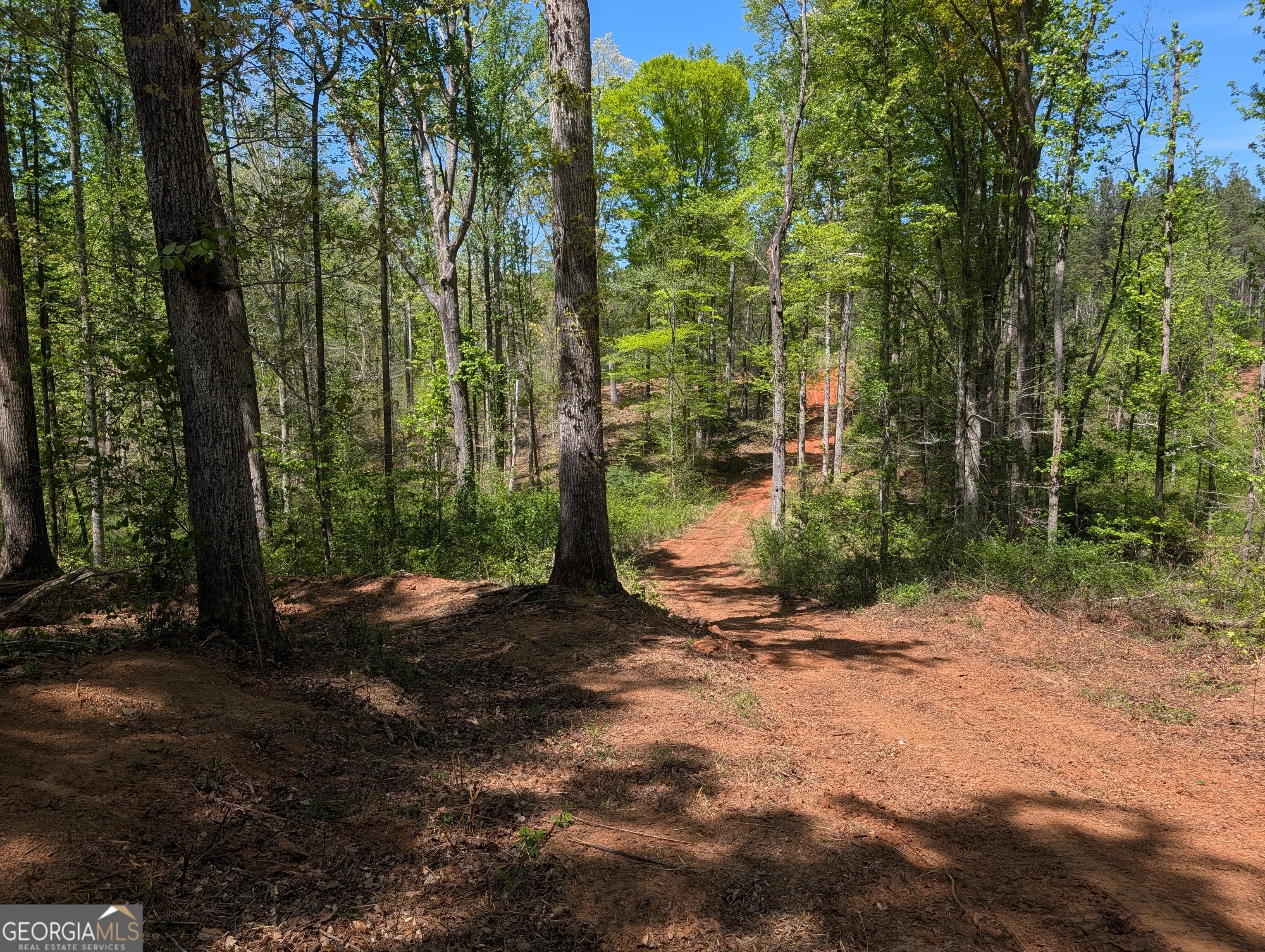 34 Magnum Lane Pendergrass GA 30567