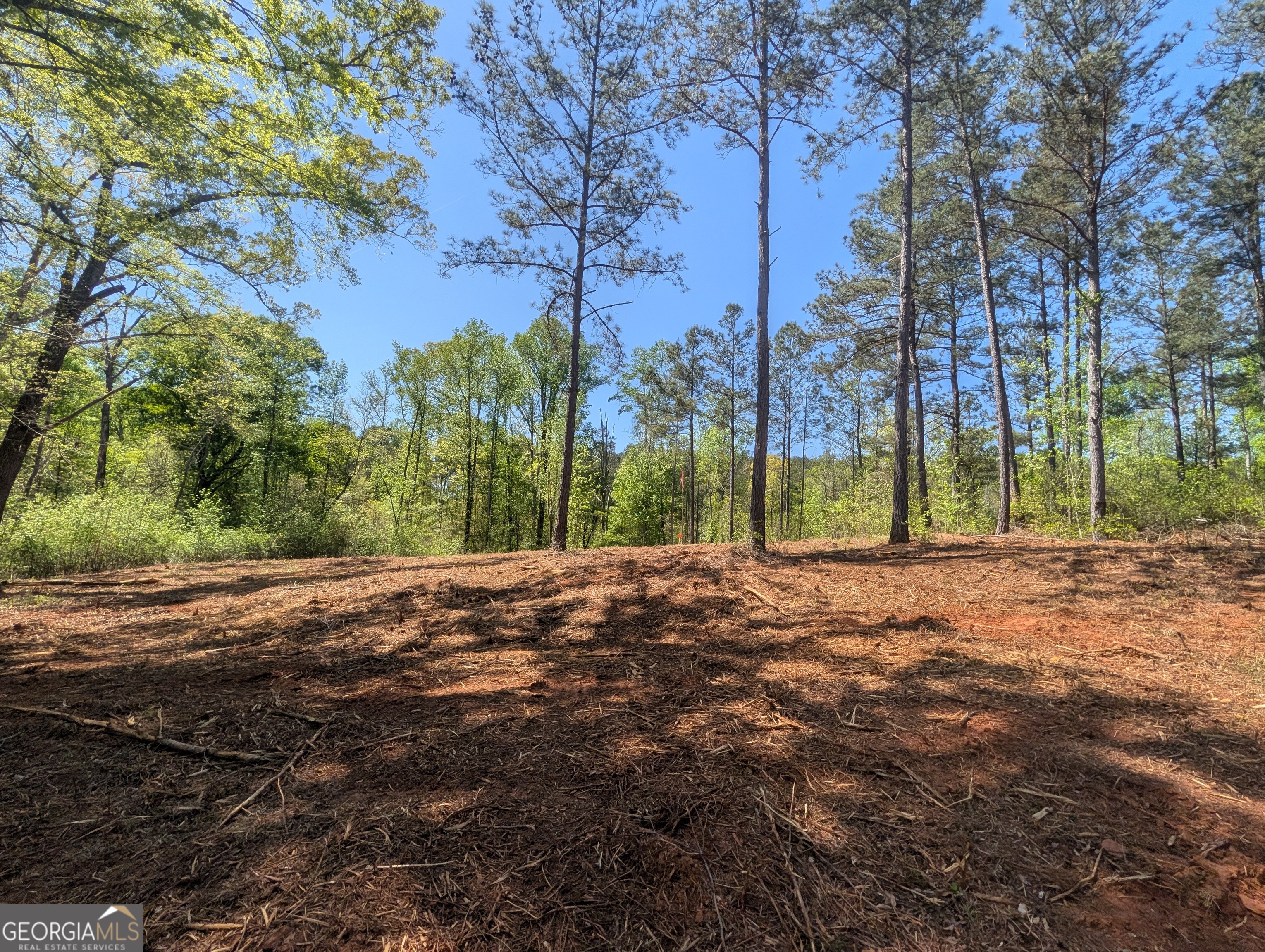 34 Magnum Lane Pendergrass GA 30567