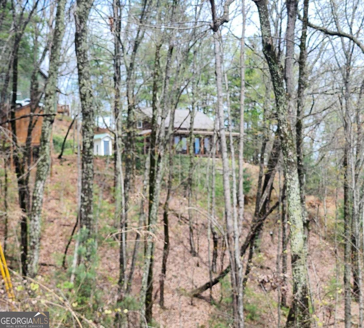 0 Dowell Circle Ellijay GA 30540