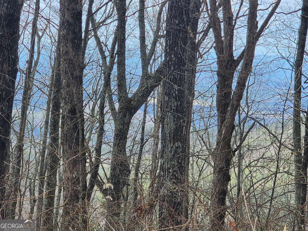 0 Dowell Circle Ellijay GA 30540