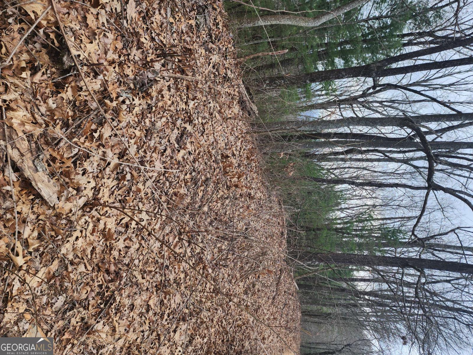 0 Dowell Circle Ellijay GA 30540