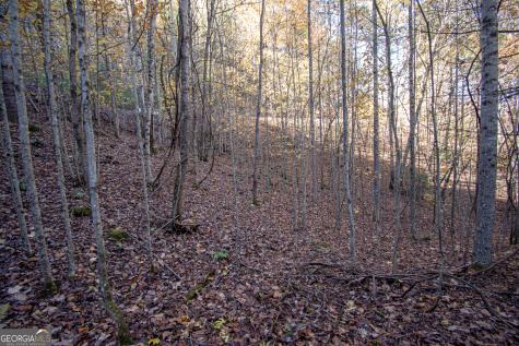 Lot 66 Choctaw Ridge Trail Murphy NC 28906