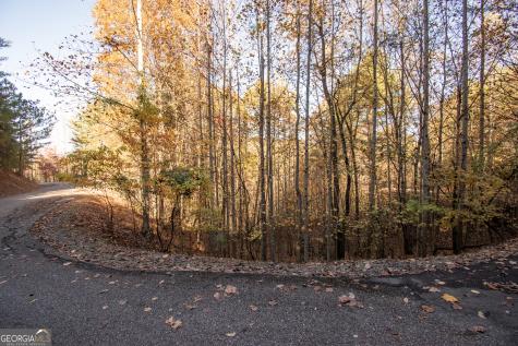 Lot 66 Choctaw Ridge Trail Murphy NC 28906