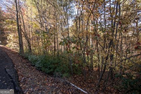 Lot 66 Choctaw Ridge Trail Murphy NC 28906