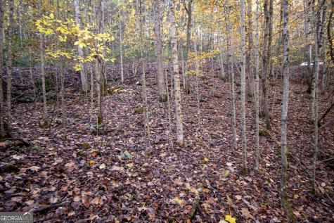 Lot 66 Choctaw Ridge Trail Murphy NC 28906