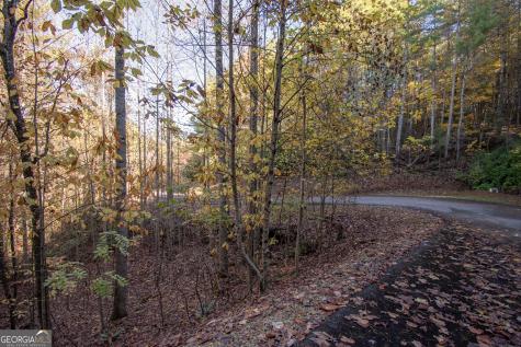 Lot 66 Choctaw Ridge Trail Murphy NC 28906
