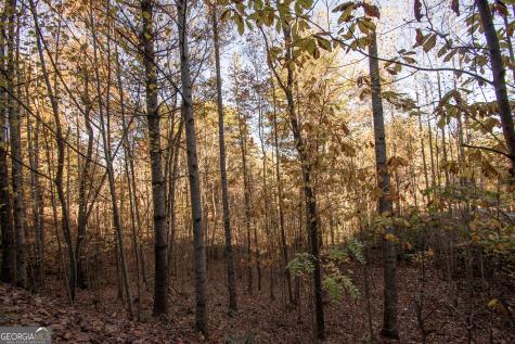 Lot 66 Choctaw Ridge Trail Murphy NC 28906