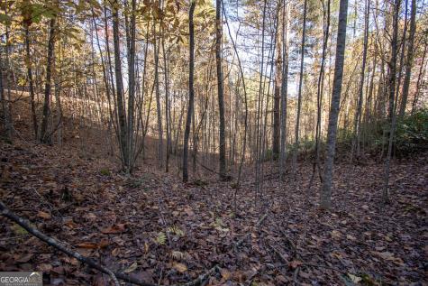 Lot 66 Choctaw Ridge Trail Murphy NC 28906