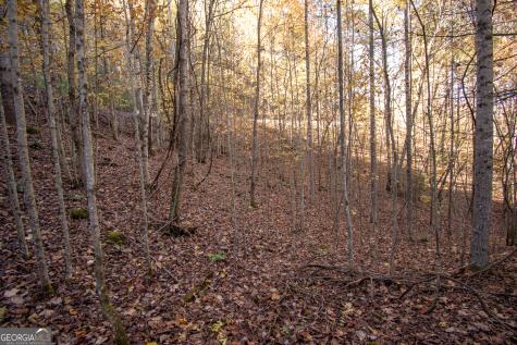 Lot 66 Choctaw Ridge Trail Murphy NC 28906