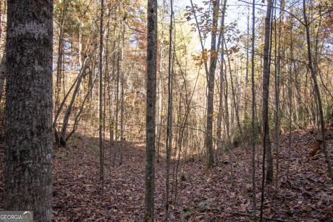 Lot 66 Choctaw Ridge Trail Murphy NC 28906