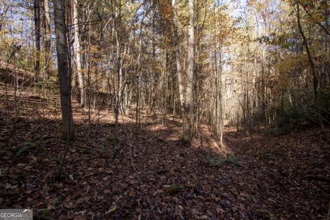 Lot 66 Choctaw Ridge Trail Murphy NC 28906