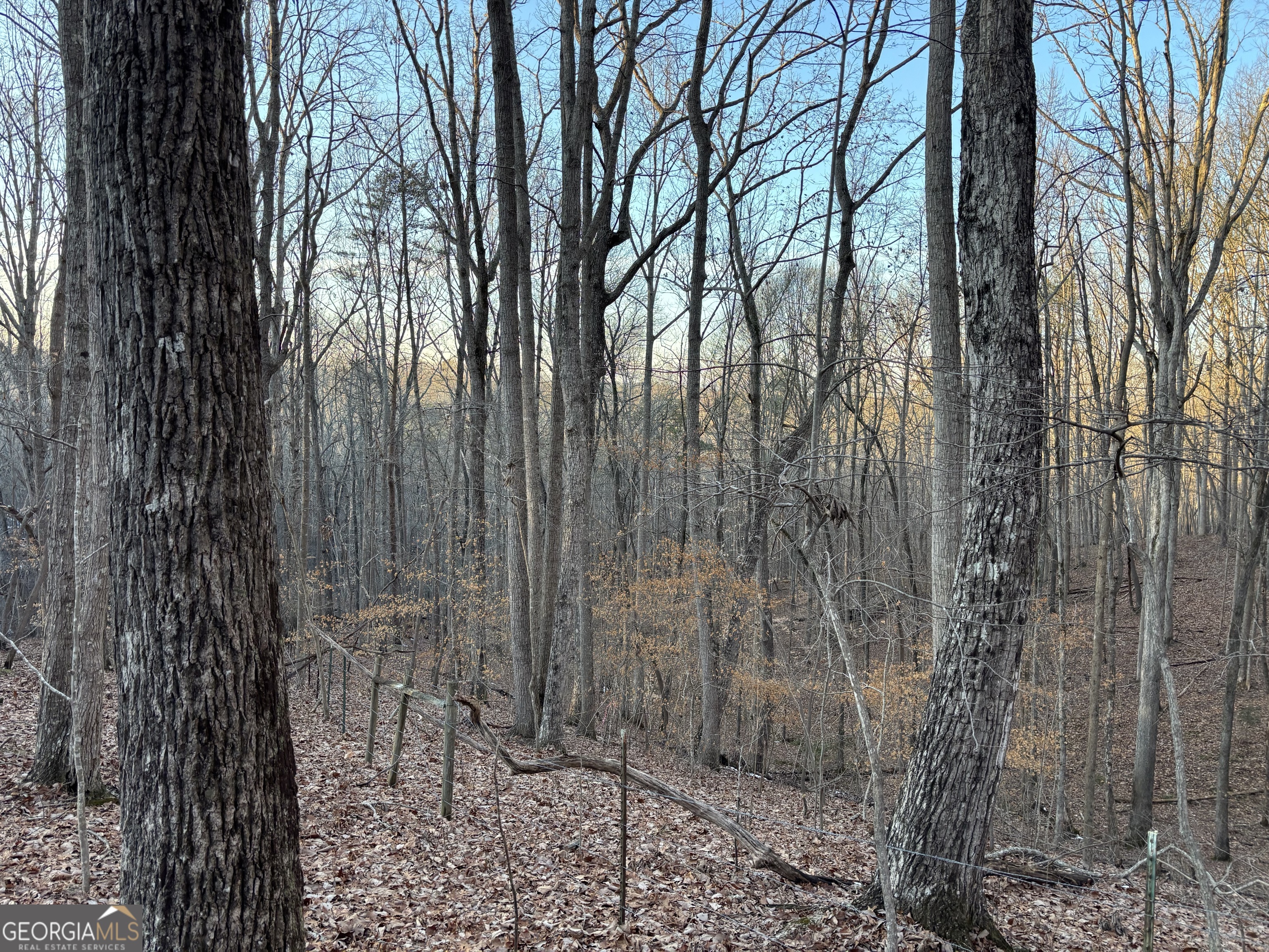 7175 Anderson Lake Road Dawsonville GA 30534
