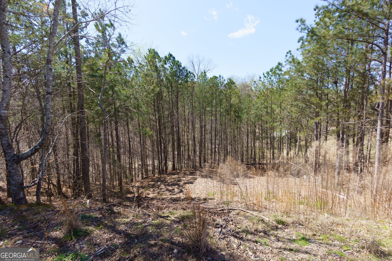6840 Nantucket Cove Cumming GA 30041