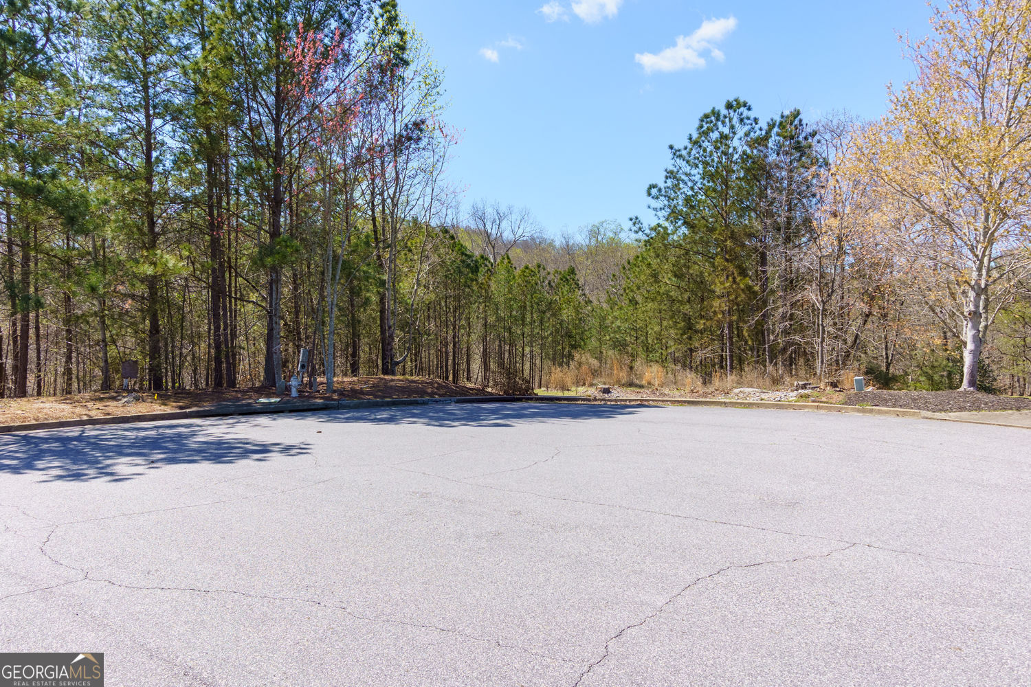 6840 Nantucket Cove Cumming GA 30041