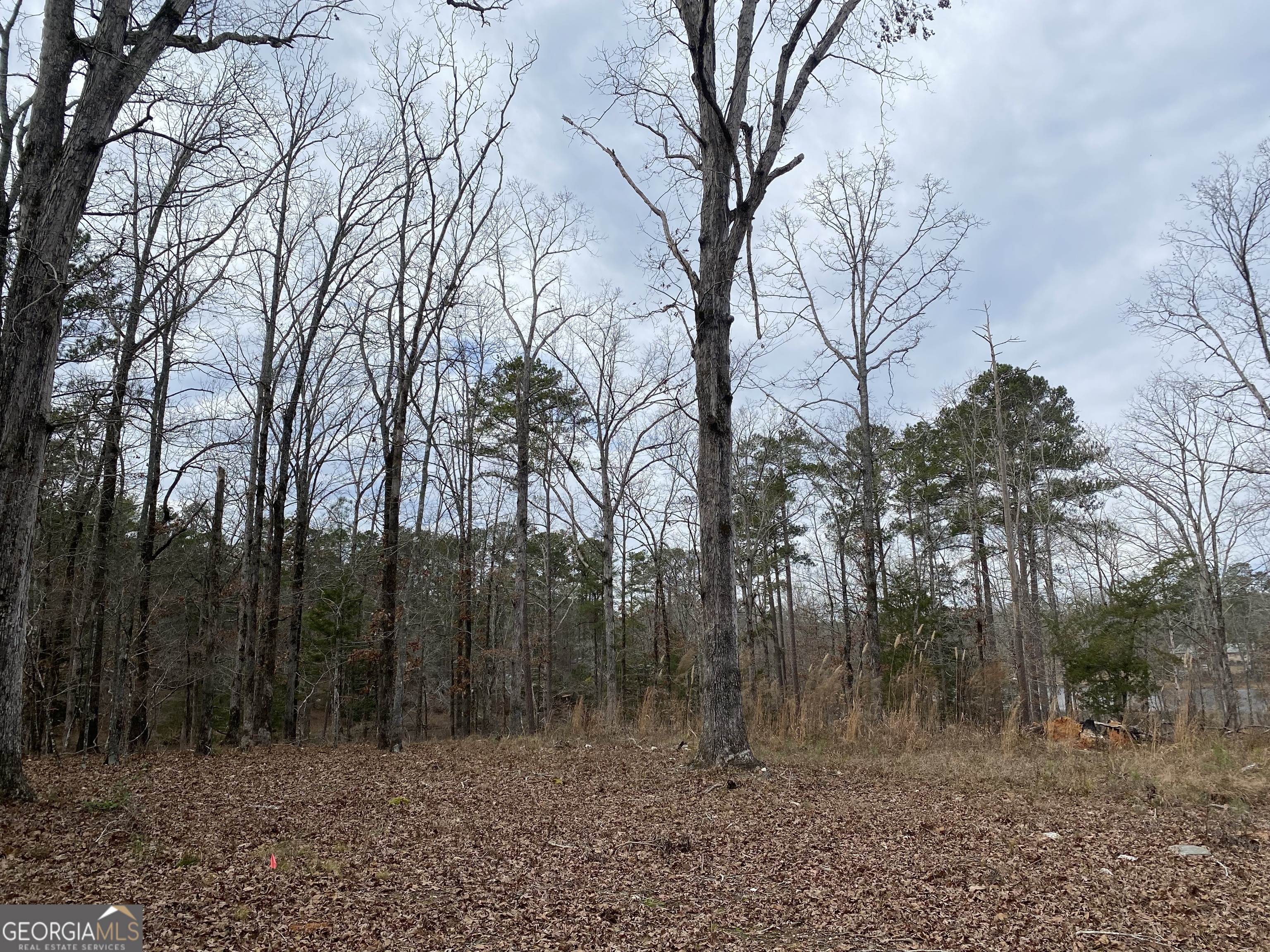 0 Paradise Street Lincolnton GA 30817