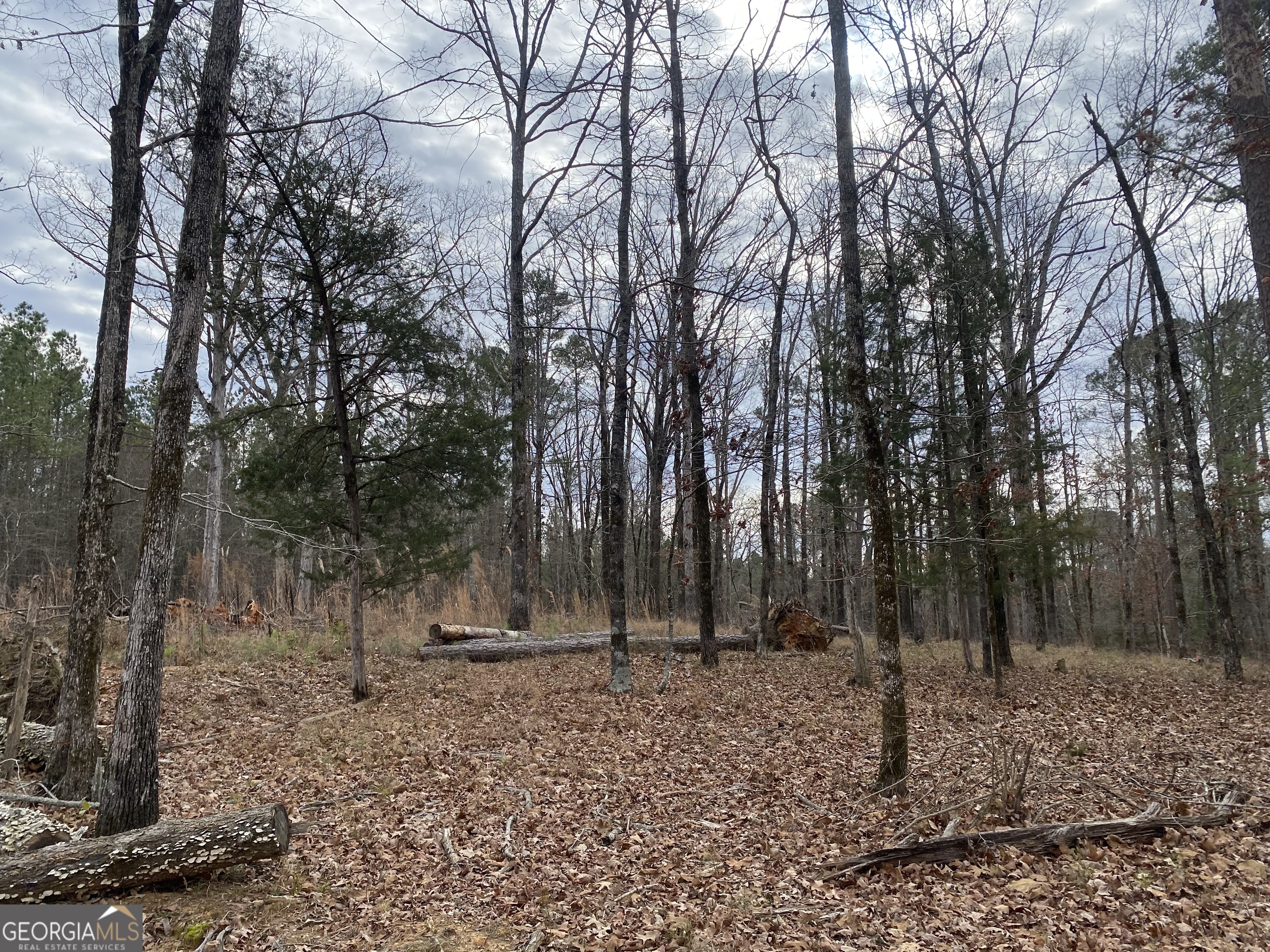 0 Paradise Street Lincolnton GA 30817
