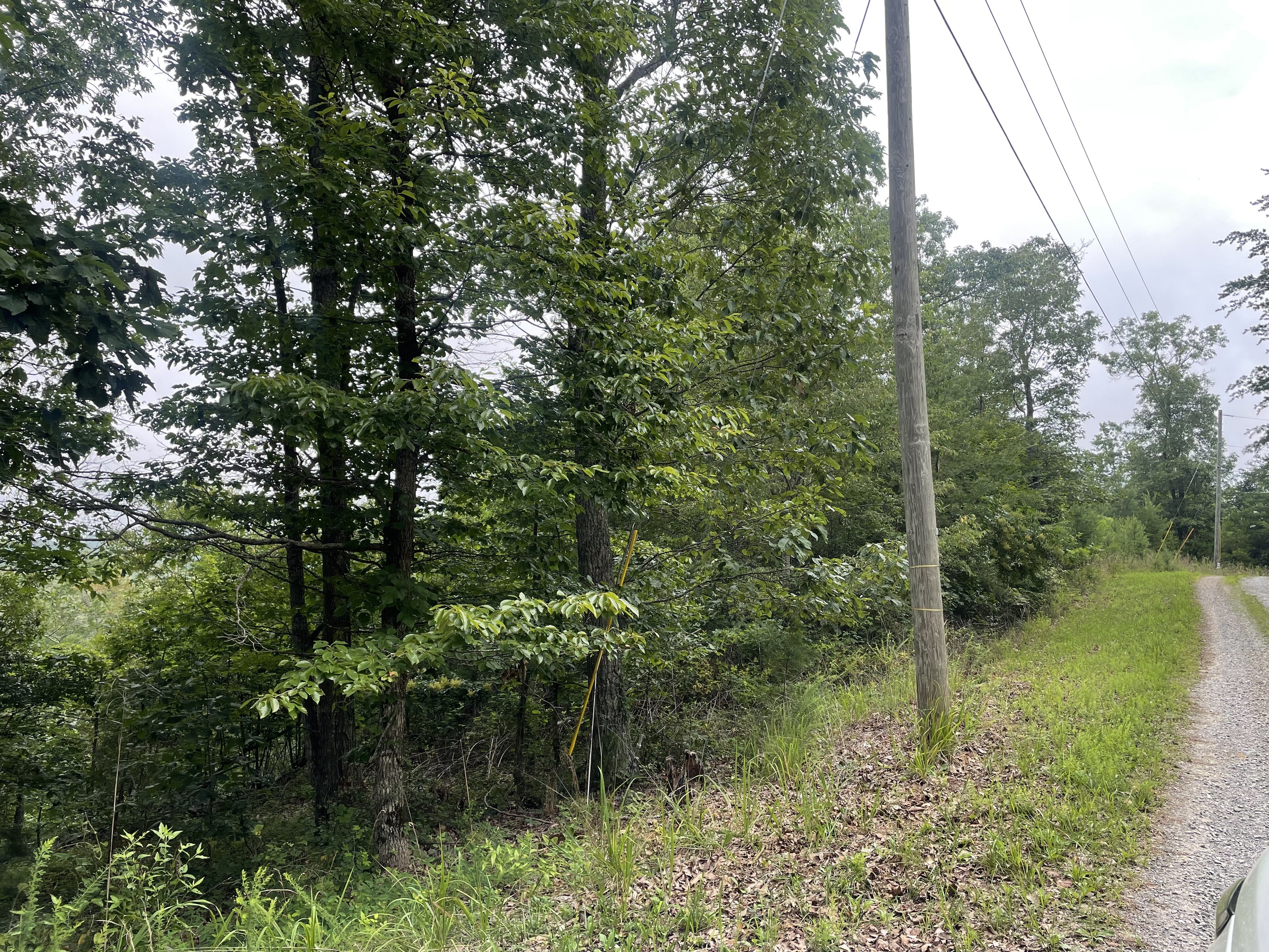 916 Aurora Lane Ranger GA 30734